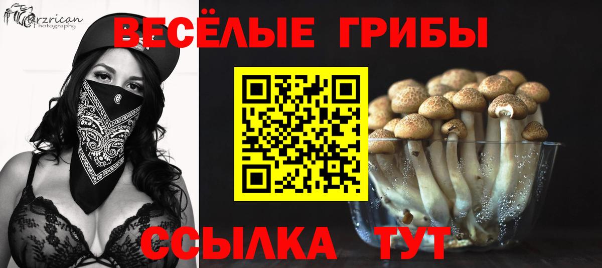Галлюциногенные грибы мицелий  Галлюциногенные грибы мицелий  Вход с VPN  Туапсе 